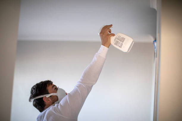Best Attic Mold Remediation in Warrenton, MO