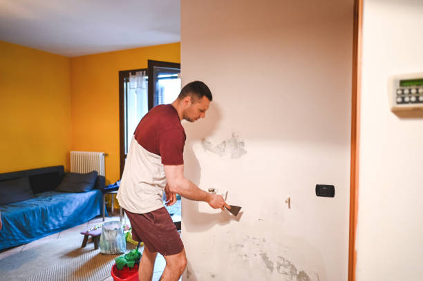 Best Industrial Mold Remediation in Warrenton, MO